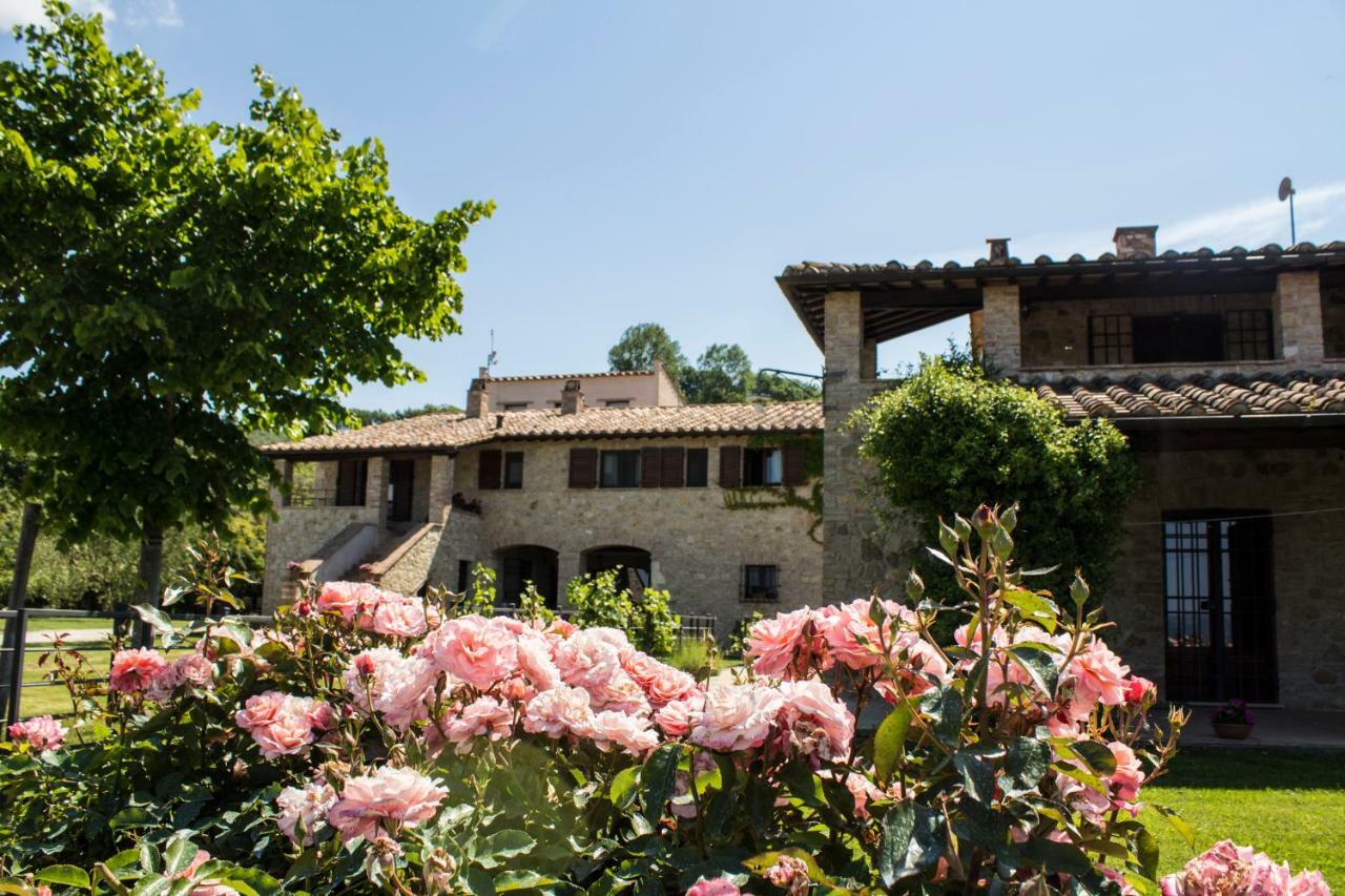 Poggio Del Bolognino Villa Lugnano in Teverina Exterior photo